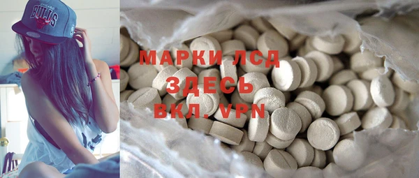 индика Новодвинск