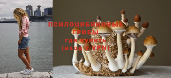 герыч Белокуриха