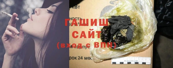 индика Новодвинск