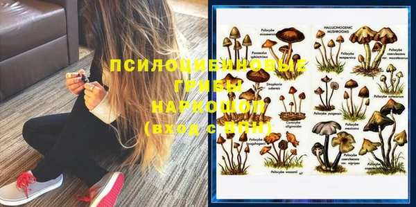 гидропоника Новокубанск