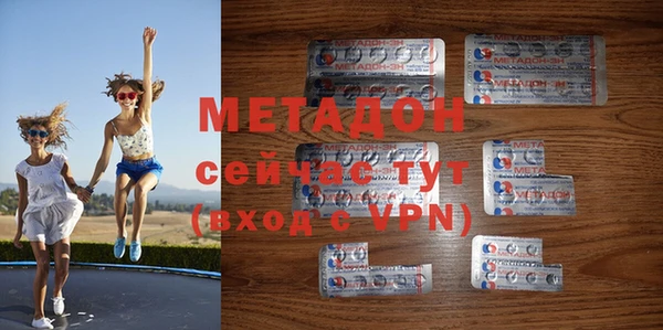 индика Новодвинск