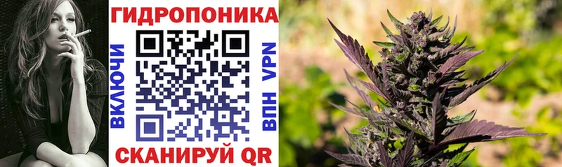 купить закладку  Пикалёво  Канабис план 